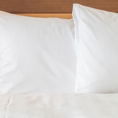 Holiday Inn Express & Suites Albany Eksteriør billede