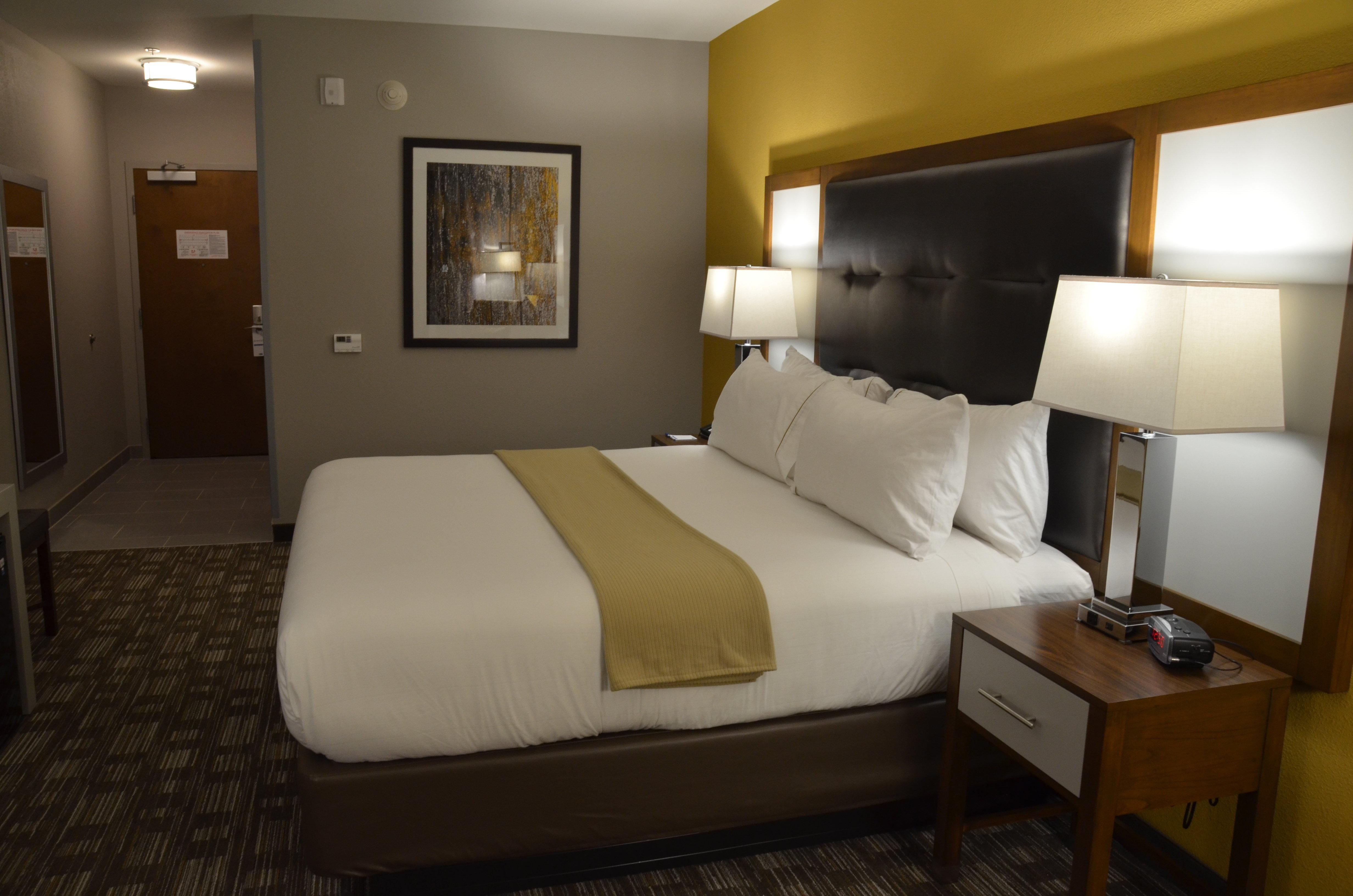 Holiday Inn Express & Suites Albany Eksteriør billede